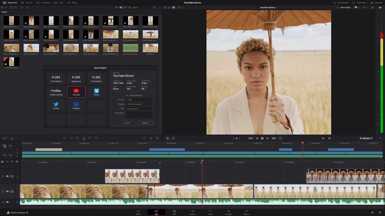 DaVinci Resolve 19 quick export