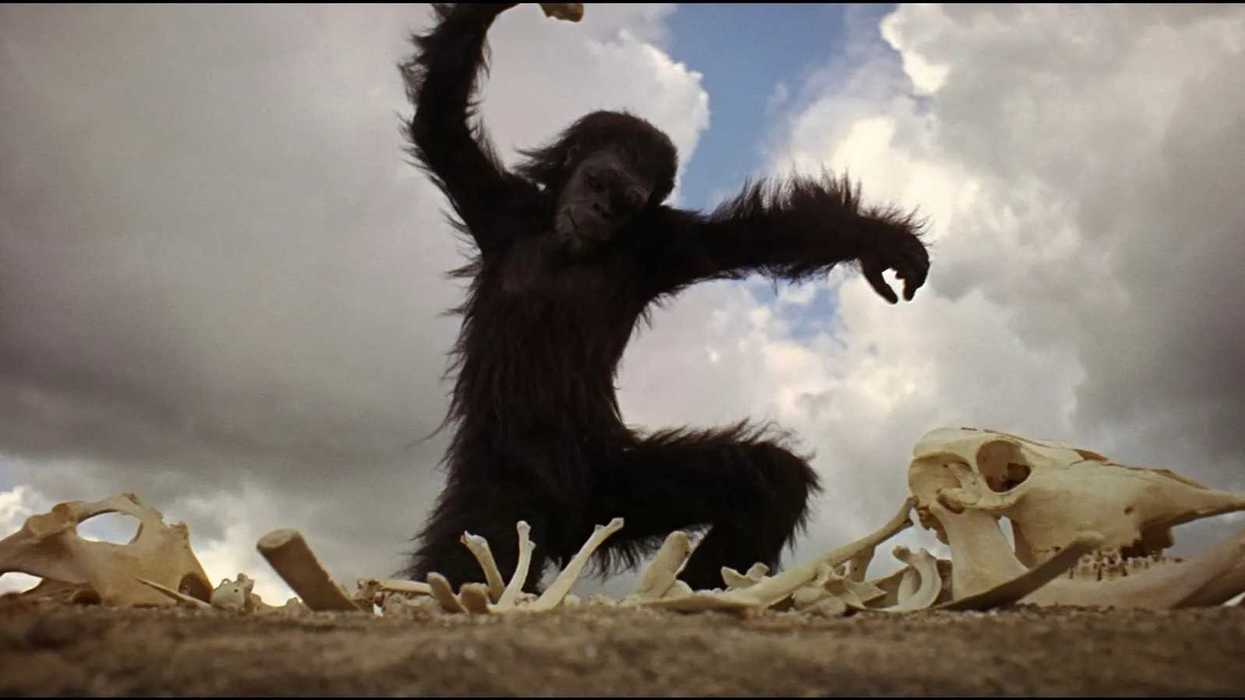 "Dawn of Man" sequence from 2001: A Space Odyssey (1968)