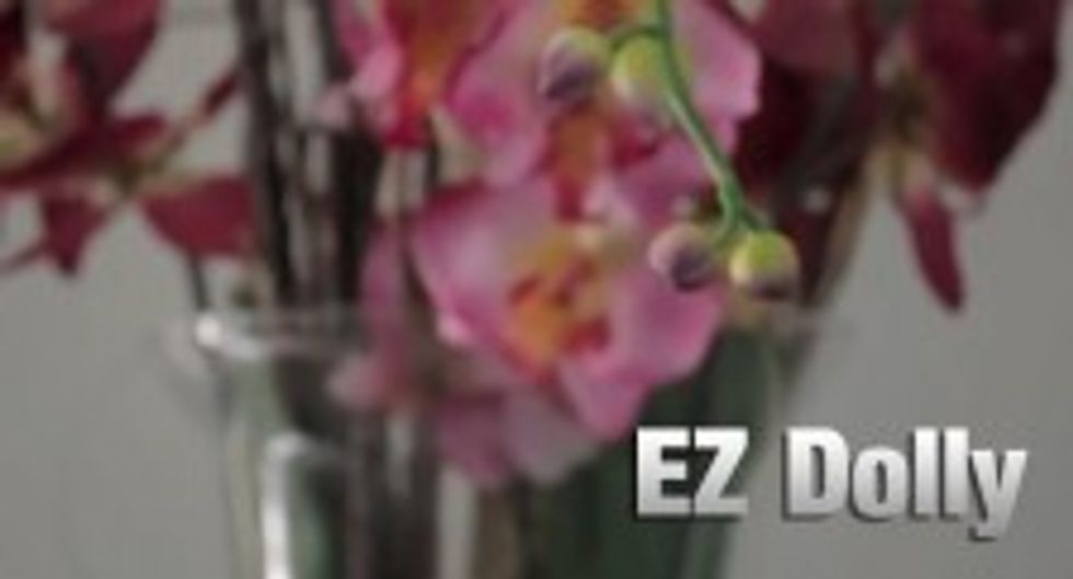 Diydolly2-224x121