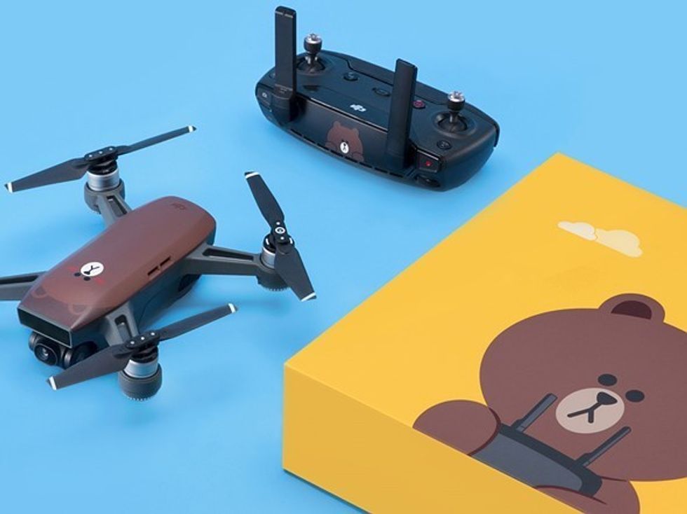 Dji_brown_bear_1