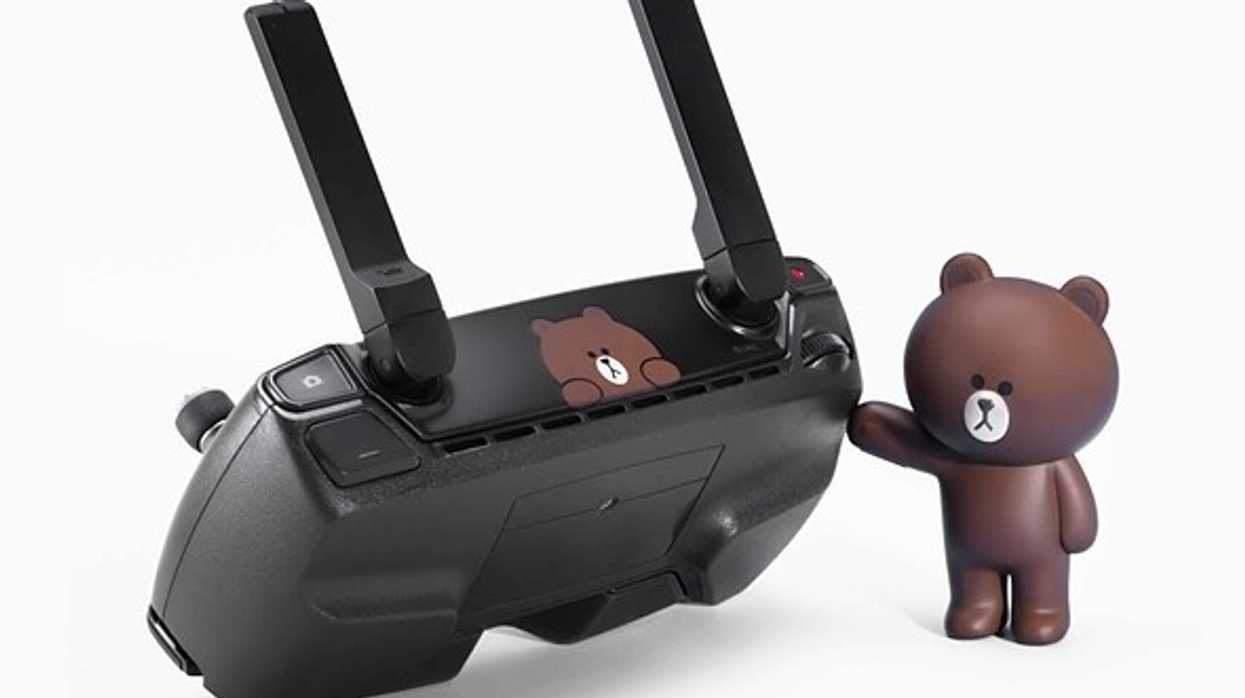 Dji_brown_bear_2_2