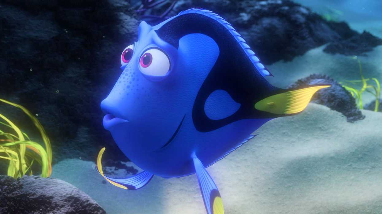 Dory looking confused in Finding Nemo