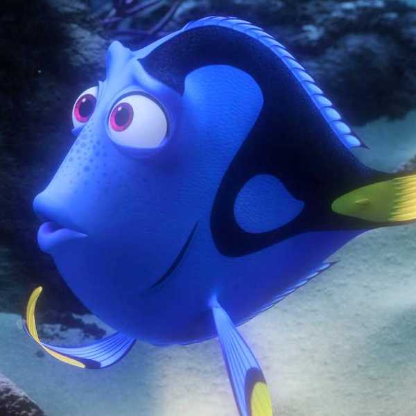 Dory looking confused in Finding Nemo