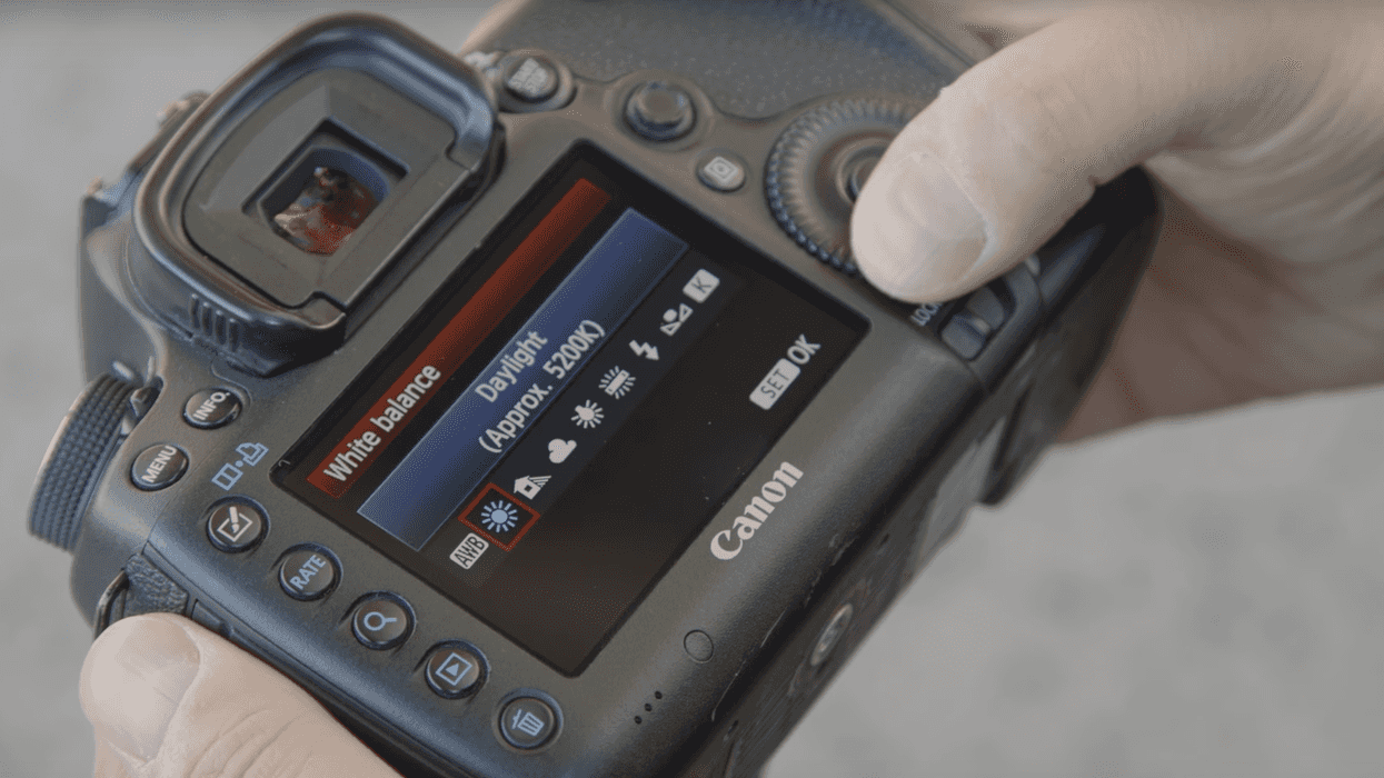 Dslr