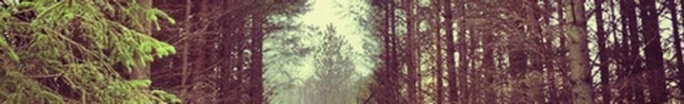 Dylan Tuccillo Out of the Trees banner