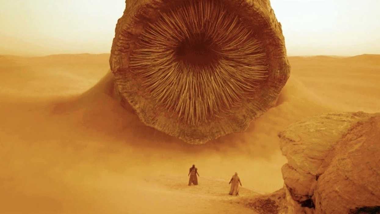 Ee7916df-52ce-43bd-a3a6-5f5cd6ca1afe-sand-worm-big