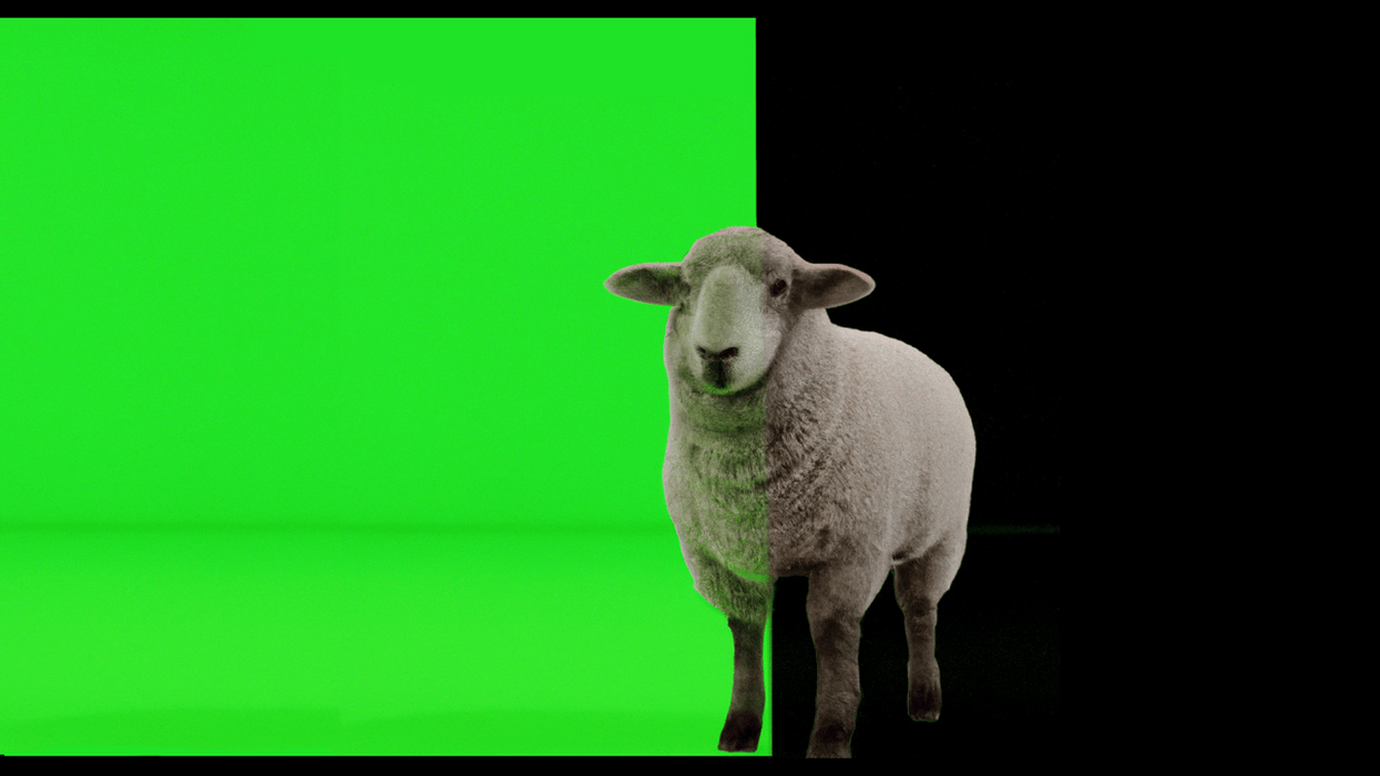 Electric Sheep AI Green Screen
