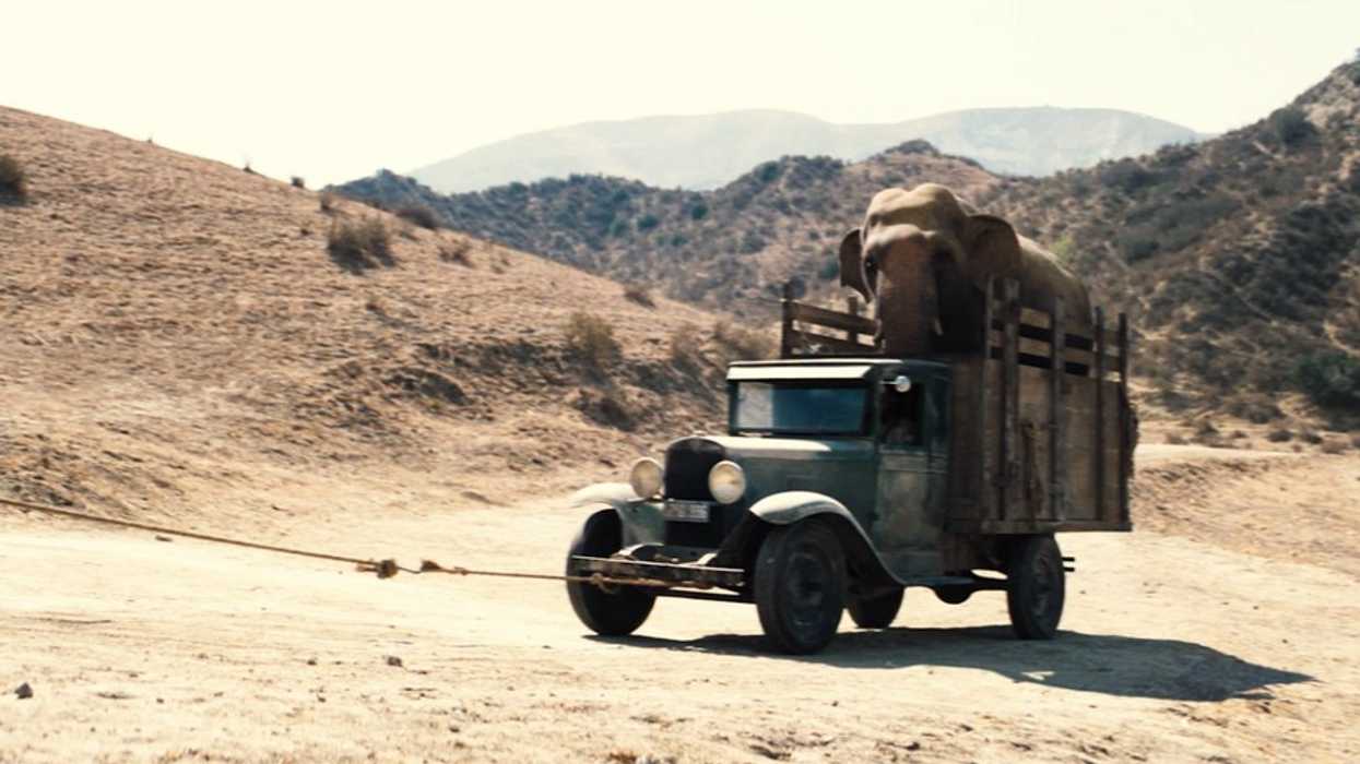 Elephant in 'Babylon'