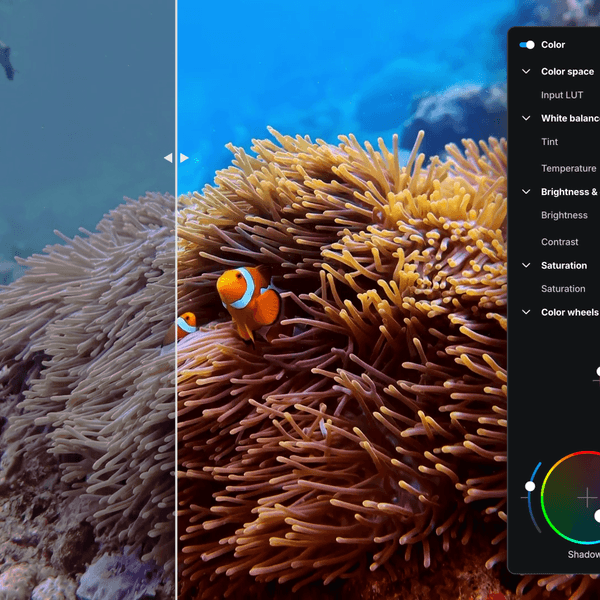 elevate.io video editing platform updates
