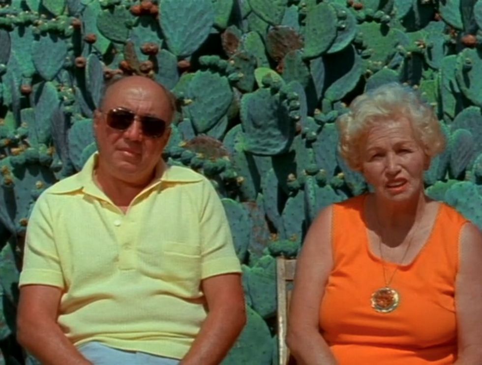 Errol Morris Gates of Heaven