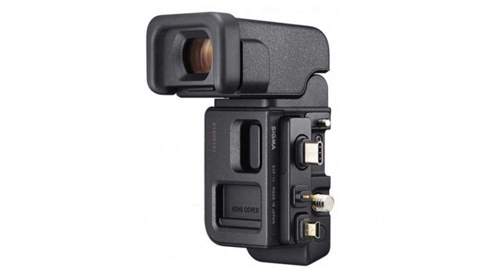 Evf_11