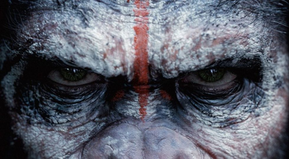 Extreme Close Up of an ape with war paint on