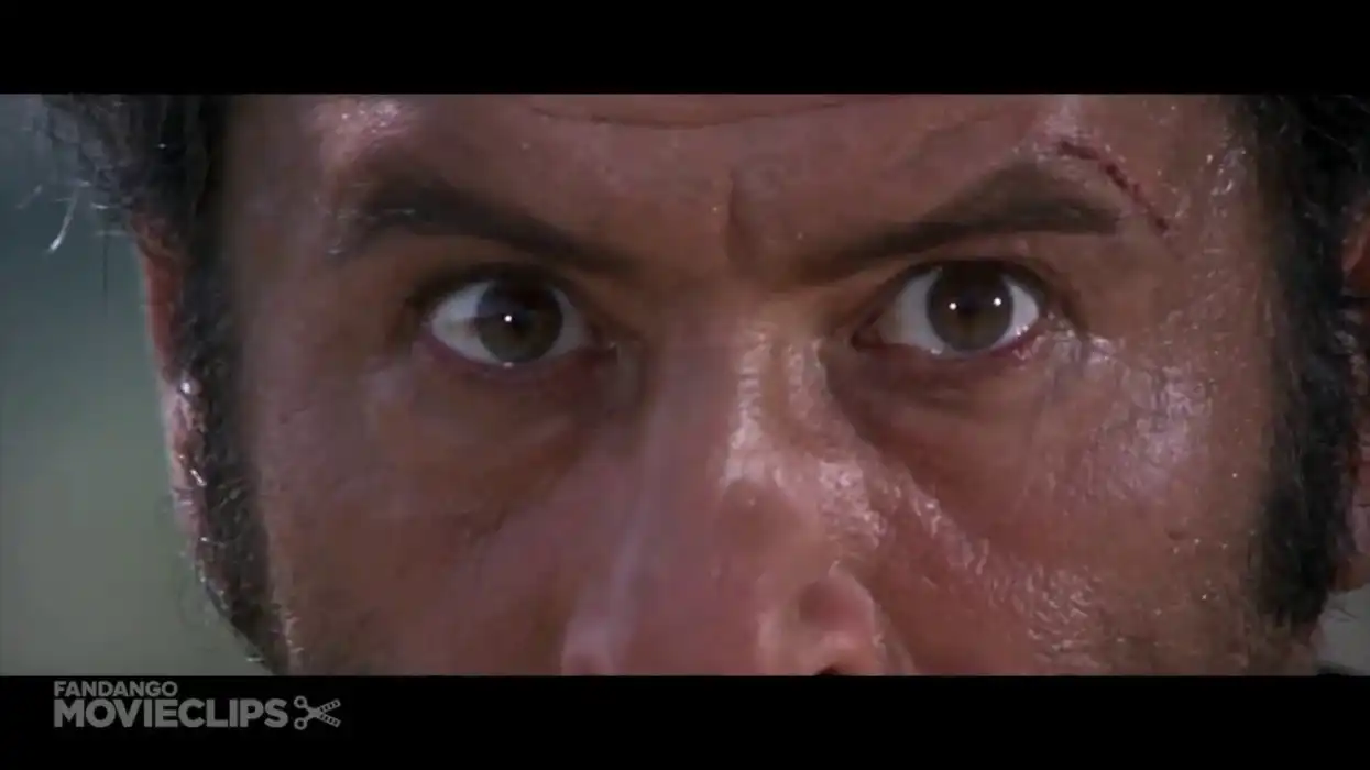 The Mathematical Editing of Sergio Leone's 'The Good, the Bad, and the Ugly'