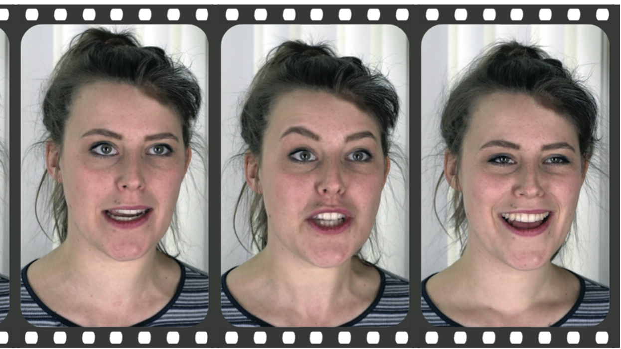 Facedirector-continuous-control-of-facial-performance-in-video-image
