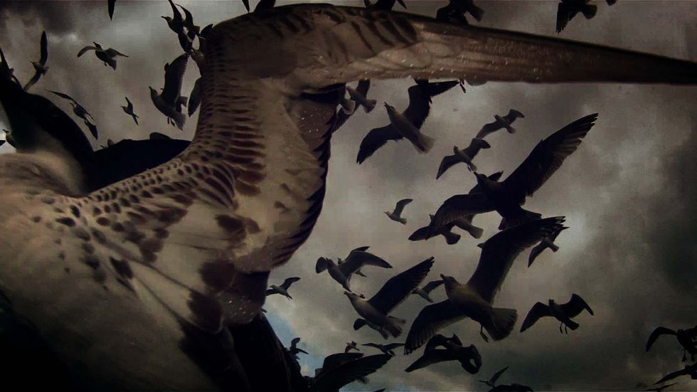 Film-leviathan