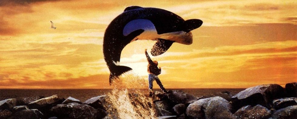 Free_willy