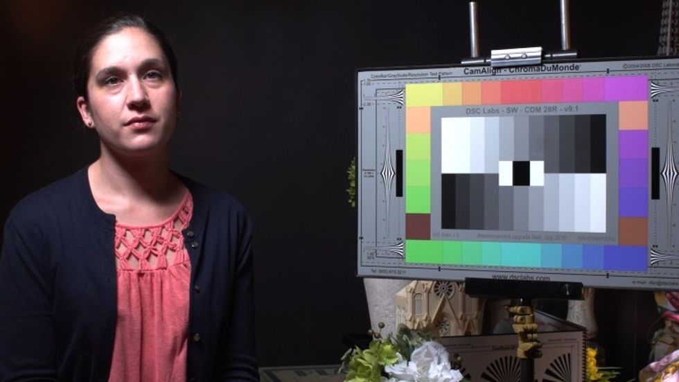 Fs100-standard-profile