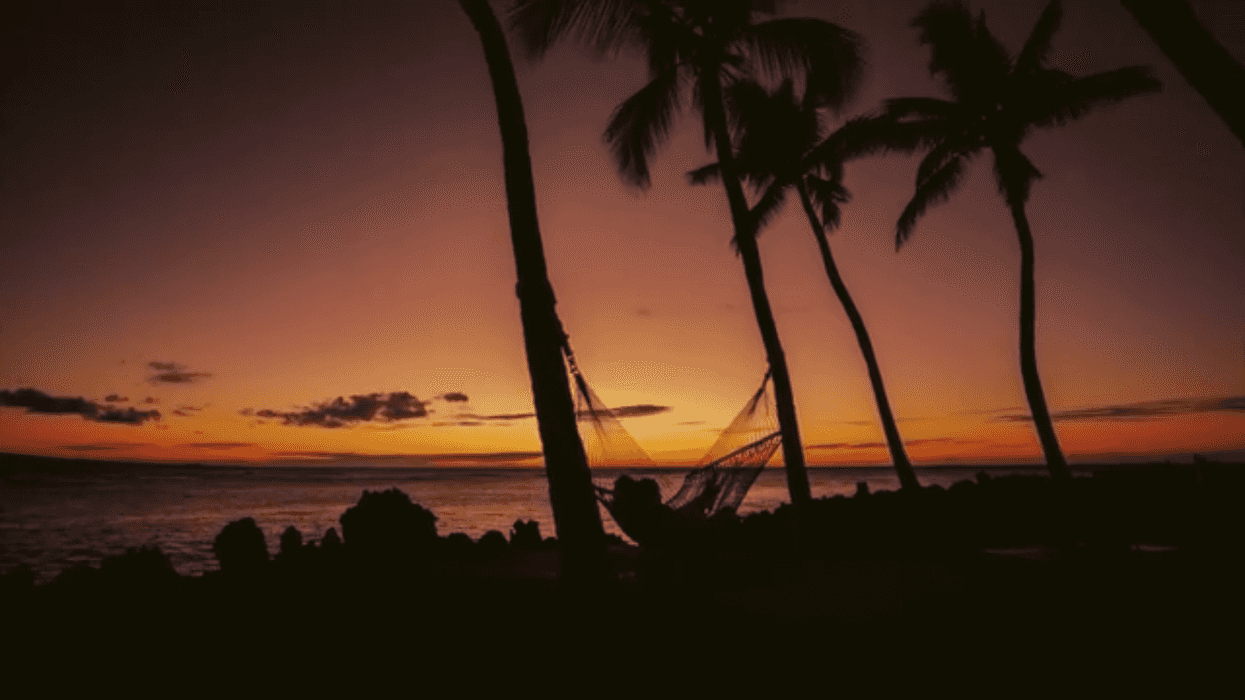 FyrFly Sunset