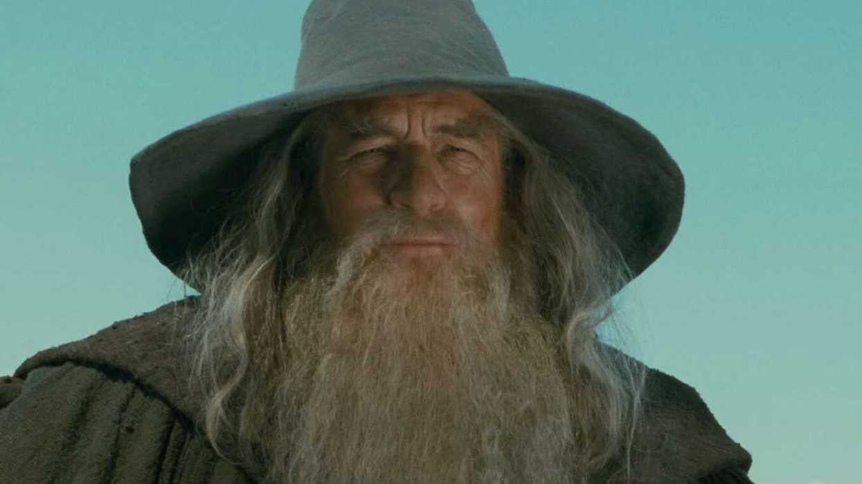 Gandalf the Grey from The Lord of the Rings film trilogy
