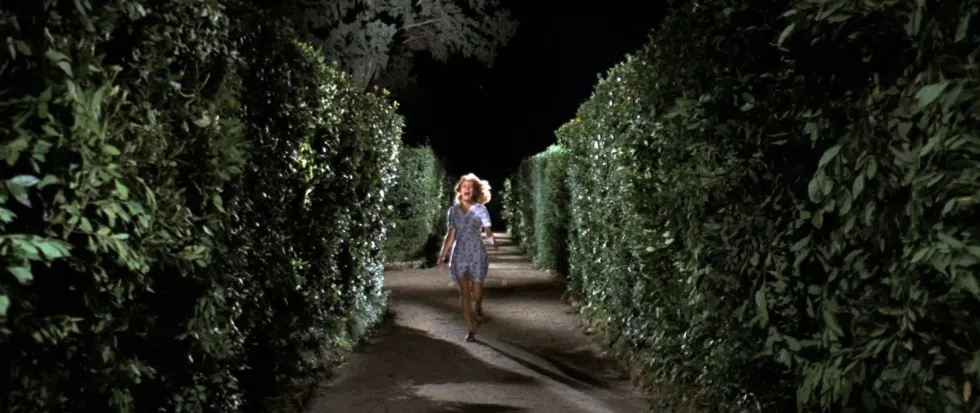 giallo cinematography