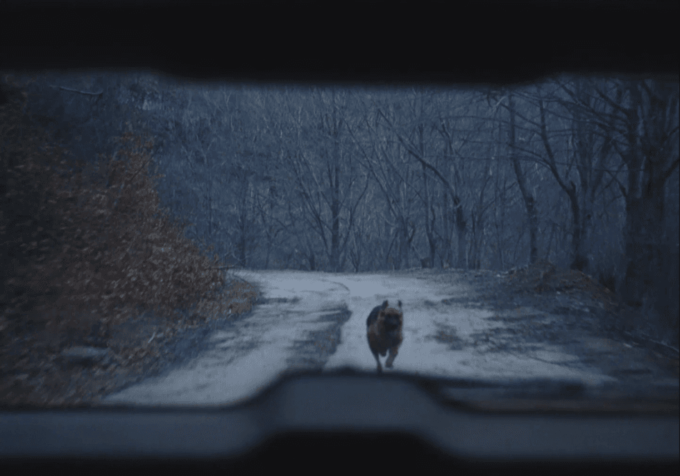 Godless_dog