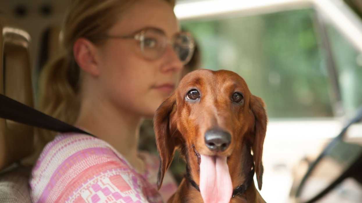 Greta-gerwig-wiener-dog-no-film-school-todd-solondz