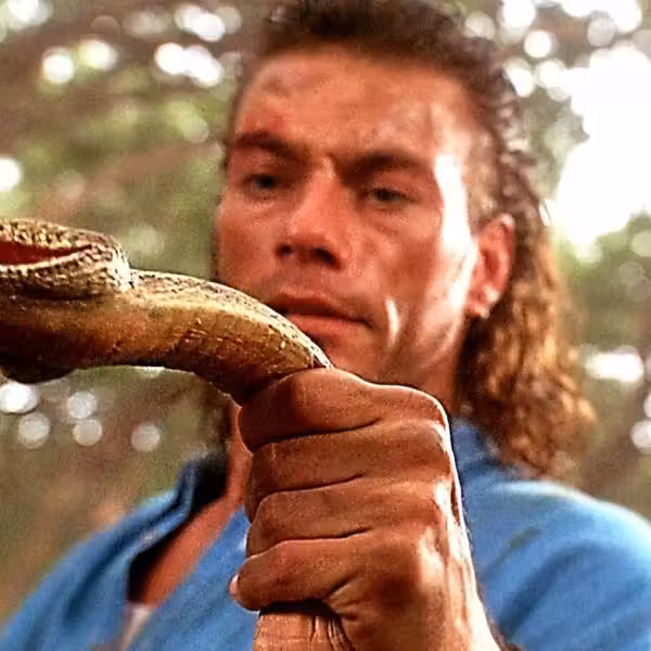'Hard Target'
