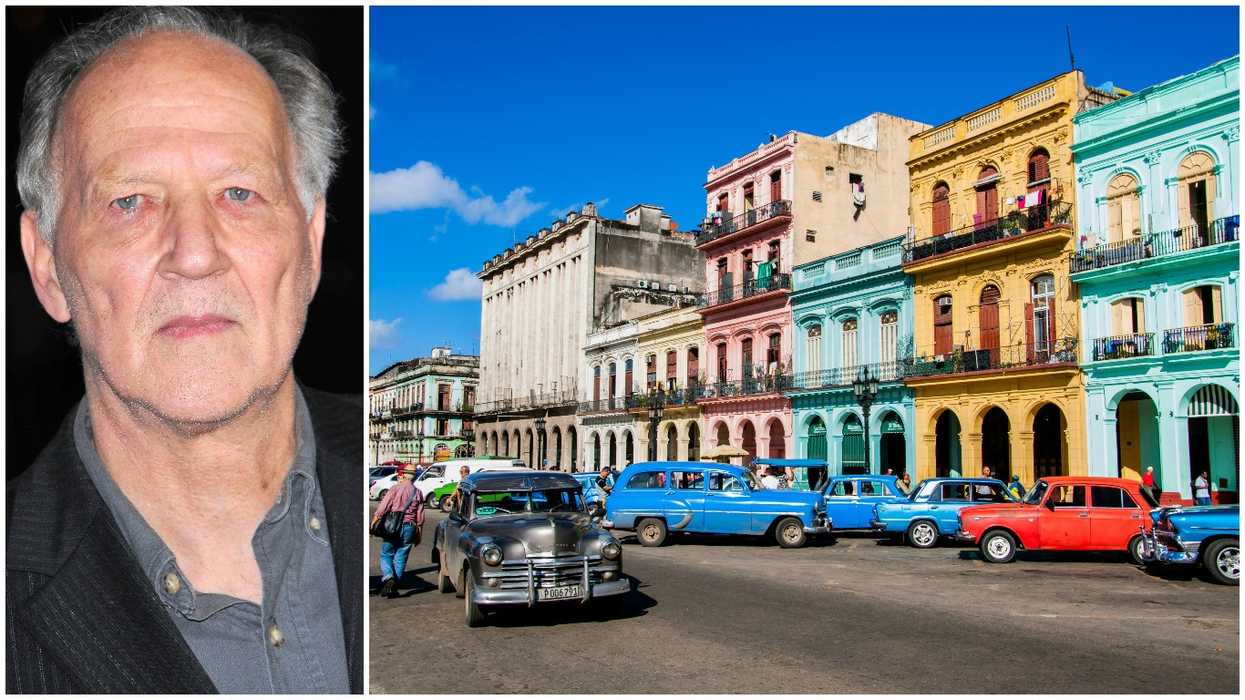 Herzogcuba