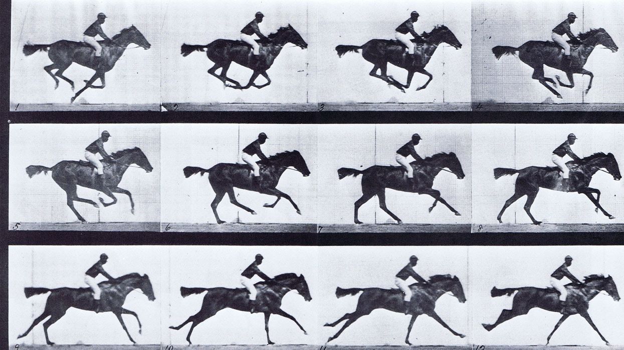Horse In Motion, Muybridge Frame Rate