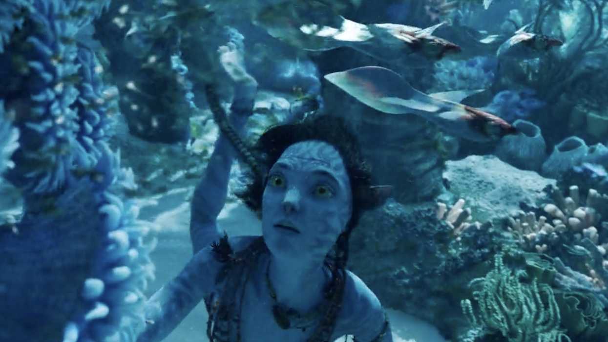 How expensive is 'Avatar: The Way of Water'?