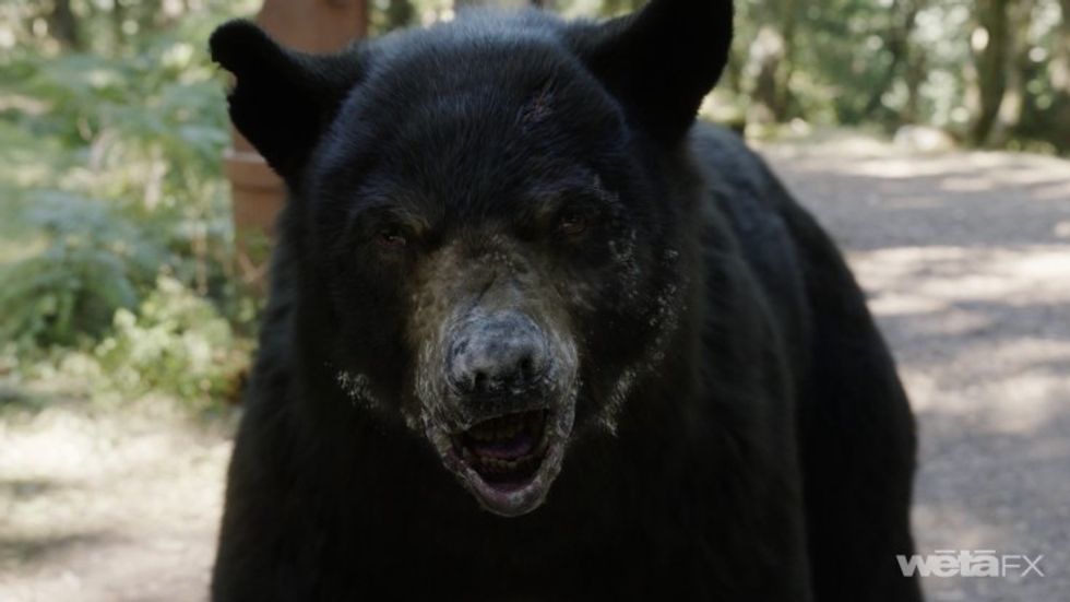 How the bear from 'Cocaine Bear' was created