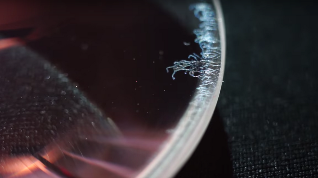 How to Remove Fungus from a Lens (by Mathieu Stern)