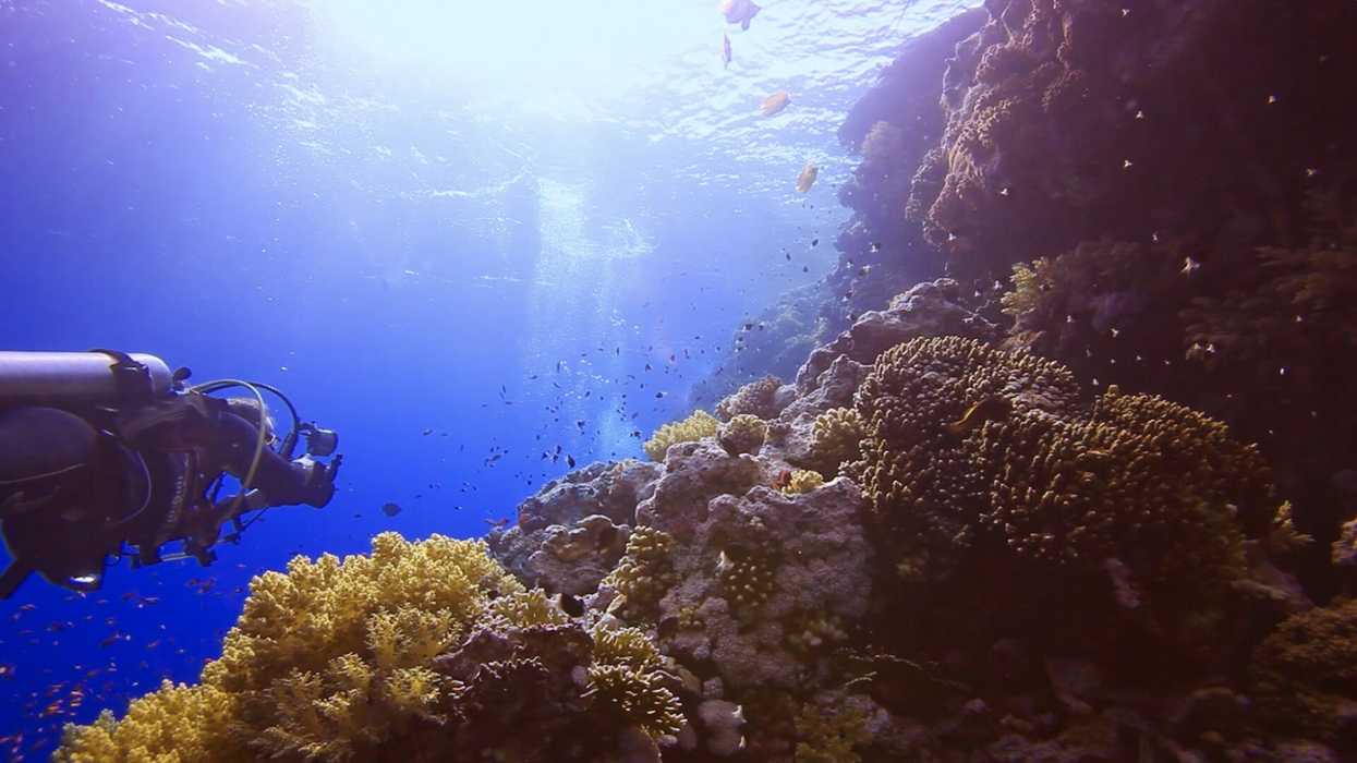 Master the Art of Shooting Up to 120 Meters Underwater