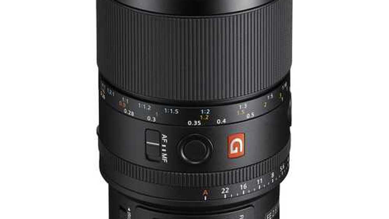Sony FE 100mm f/2.8 Macro GM Lens
