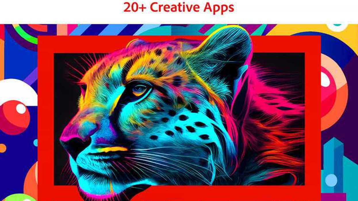 Adobe Creative Cloud Pro (12 Month Subscription, Download)