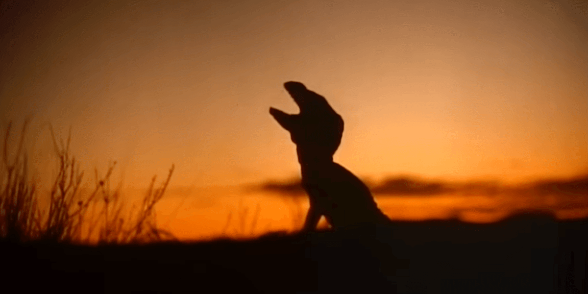 Have You Seen This Killer Dinosaur Movie From the ‘90s?