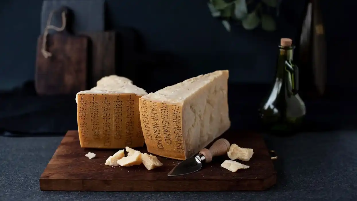 A Block of Cheese Got An Agent Before You Did