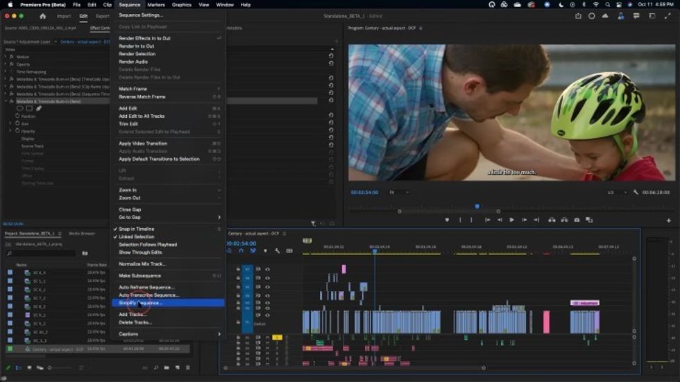 Image2-simplify_sequence-beta_feature-adobe_premiere_pro