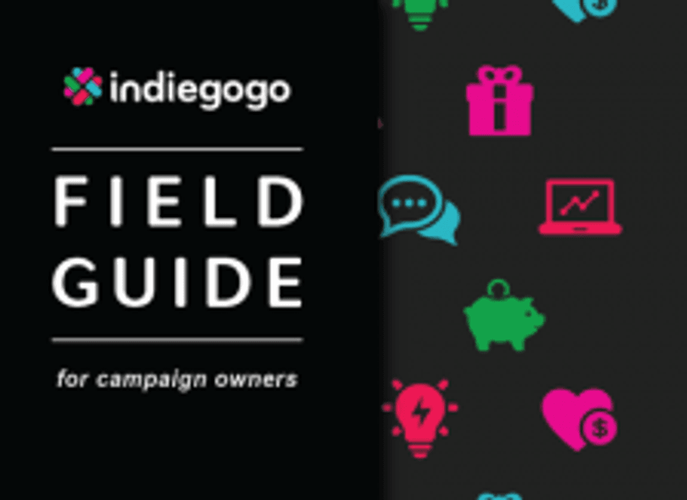Indiegogo-field-guide-e1364408084564-224x163