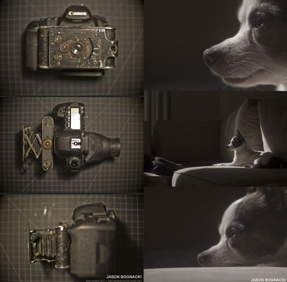 Jason-bognacki-view-camera-and-stills