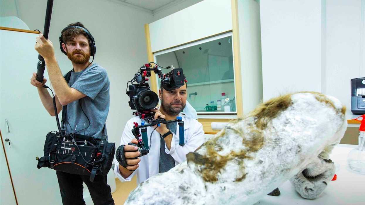 Jason Sussberg and David Alvarado filming an extinct species cadaver.