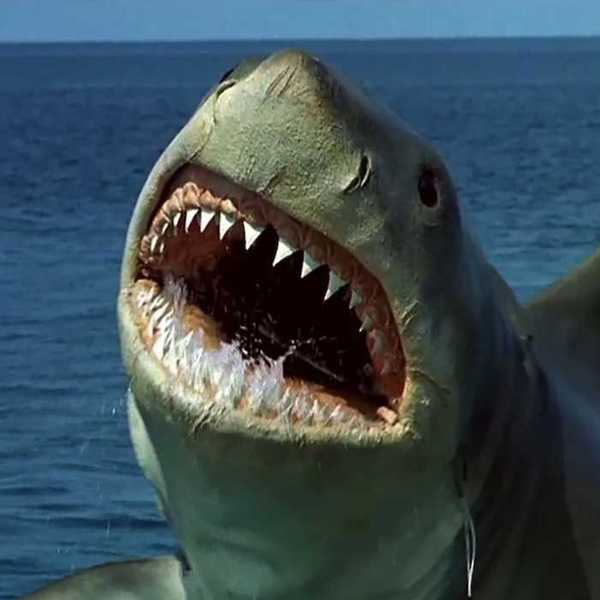 'Jaws: The Revenge'