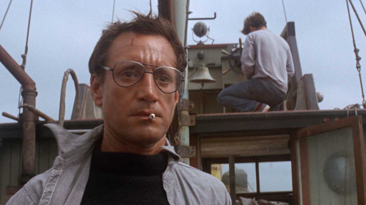 Jaws