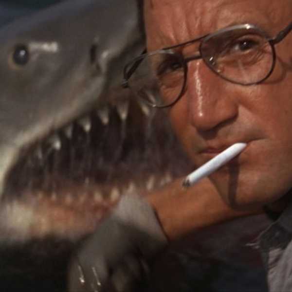 Jaws