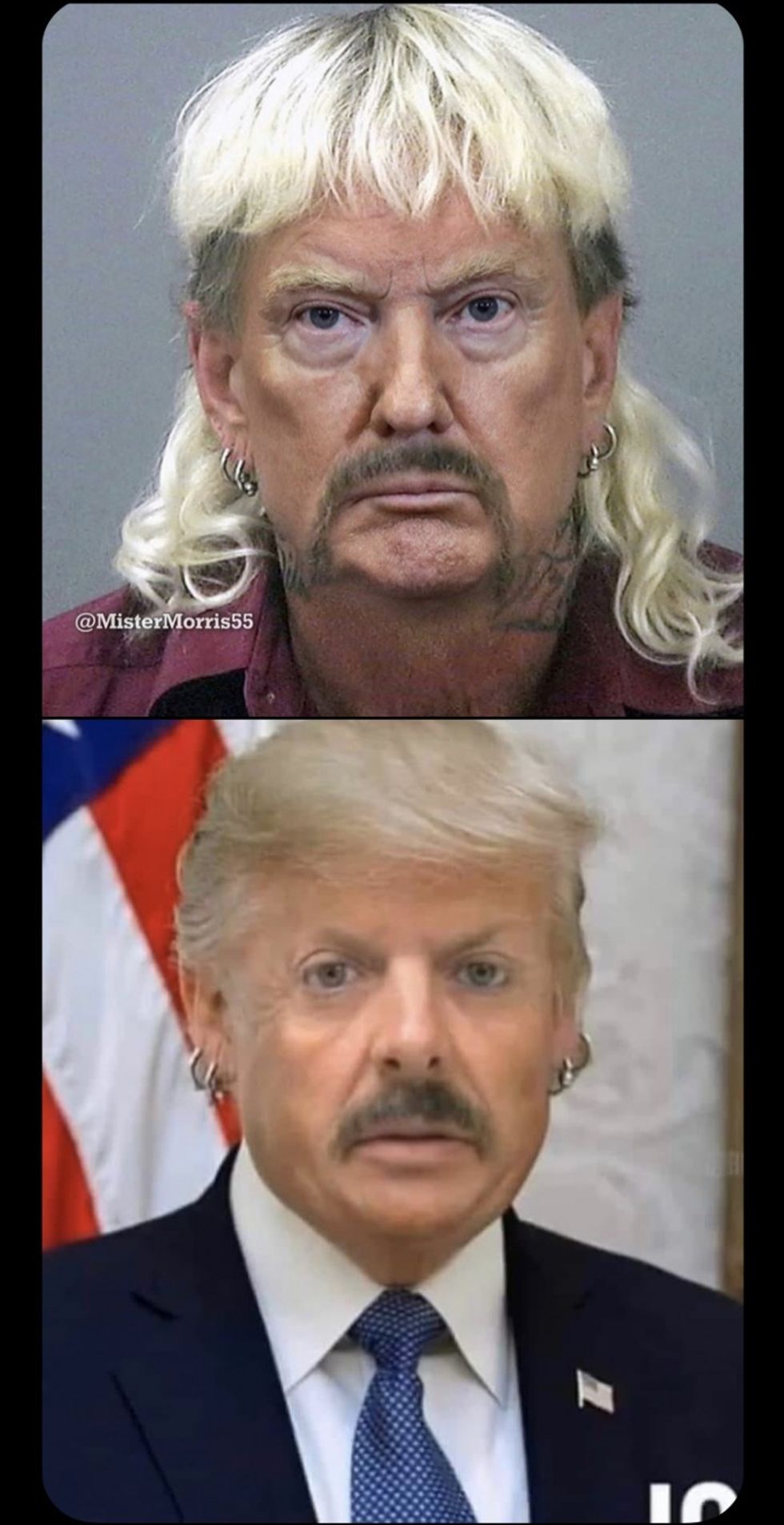 Joe Exotic and Trump