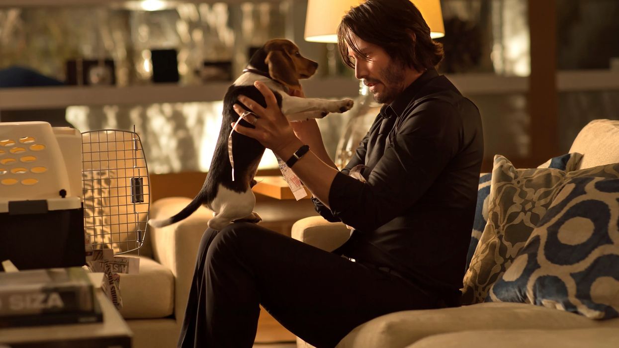John Wick and his first dog, Daisy