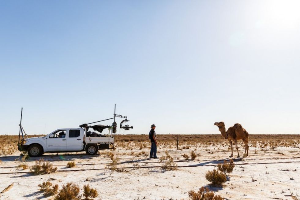 Judascollar_-movi_camel_wrangler_sonic_-_photo_by_jessica_wyld_c_no_thing_productions