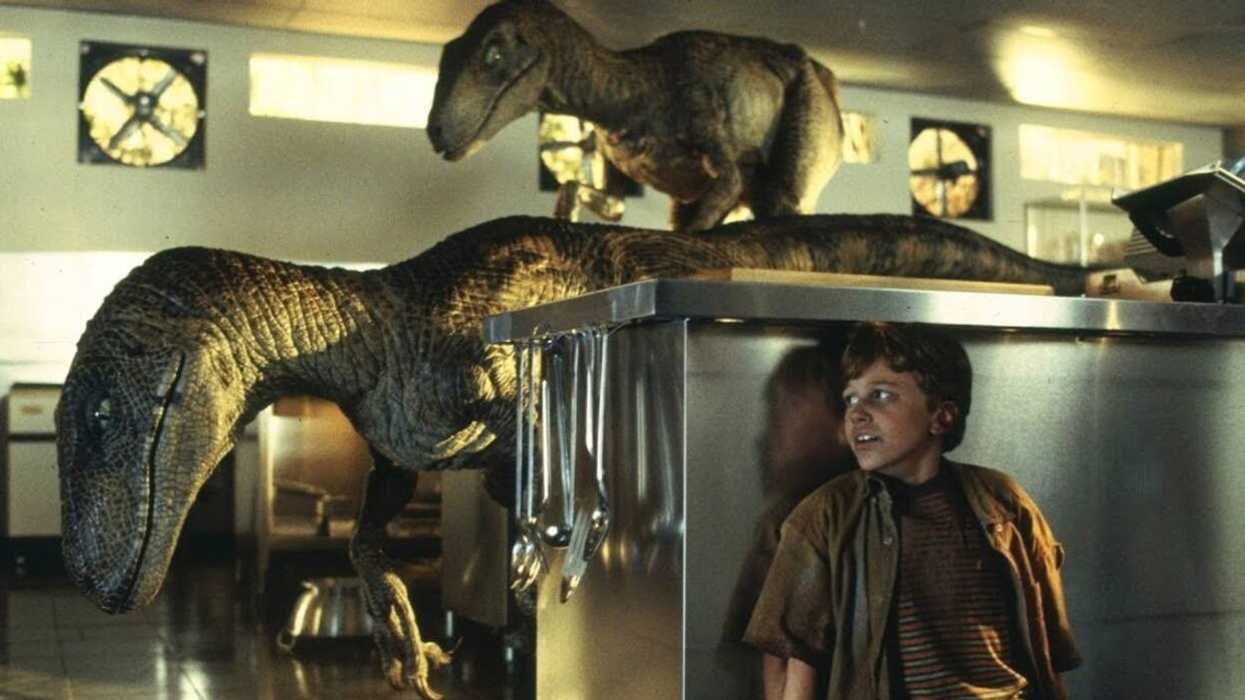 Jurassic Park: The Raptor Noise and the Mating Tortoises