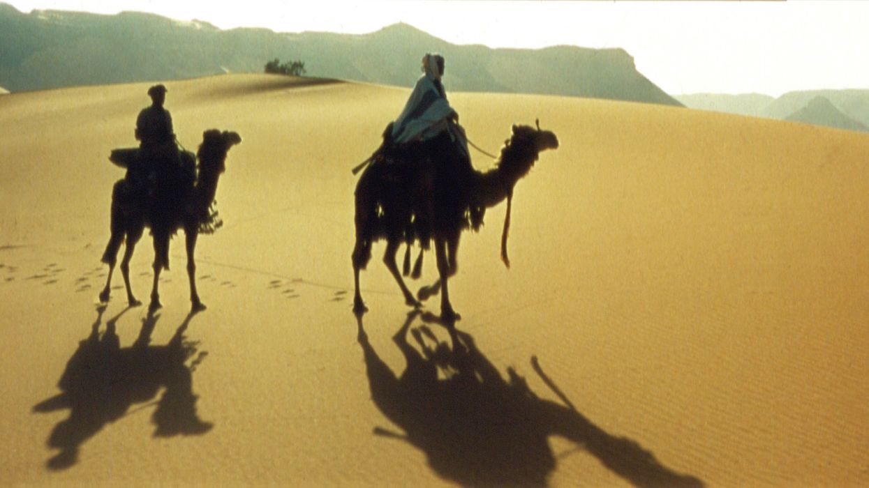 'Lawrence of Arabia'