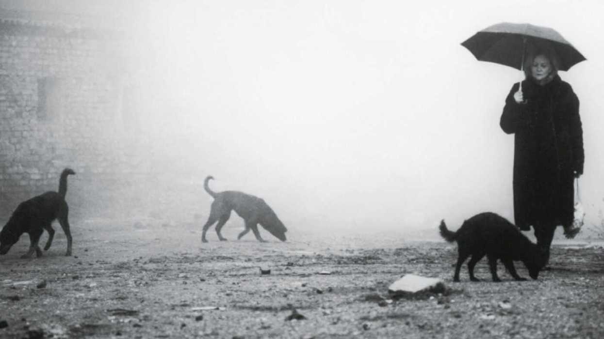 Lessons In Filmmaking From Bela Tarr